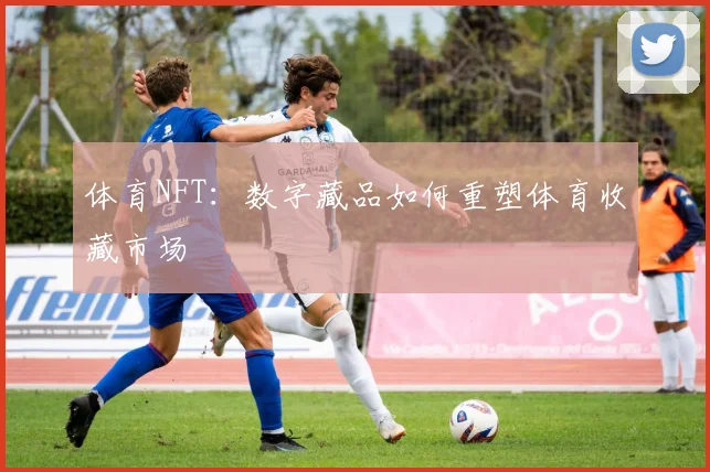 体育NFT：数字藏品如何重塑体育收藏市场