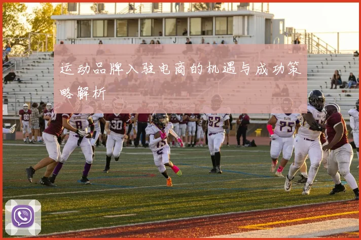 运动品牌入驻电商的机遇与成功策略解析