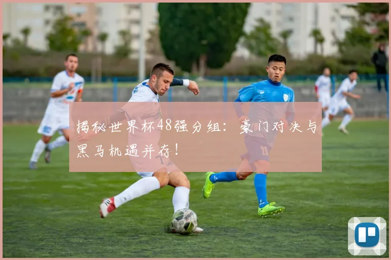 揭秘世界杯48强分组:豪门对决与黑马机遇并存!